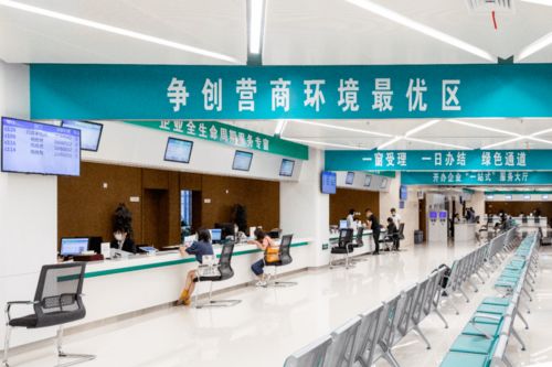 打造'溧即辦'黨建新品牌，讓服務(wù)窗口成為'人心窗口'